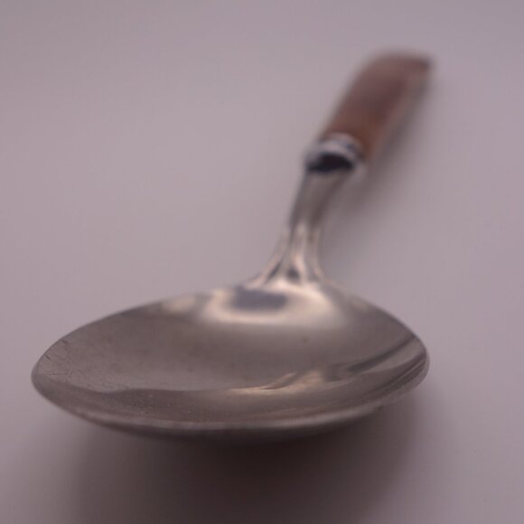 Set of Four(4) Stainless MB Japan Faux Bone Spoons - Picture 7 of 15